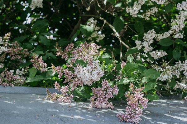 Pompe à chaleur à carpiquet : top astuces pour un chauffage optimal